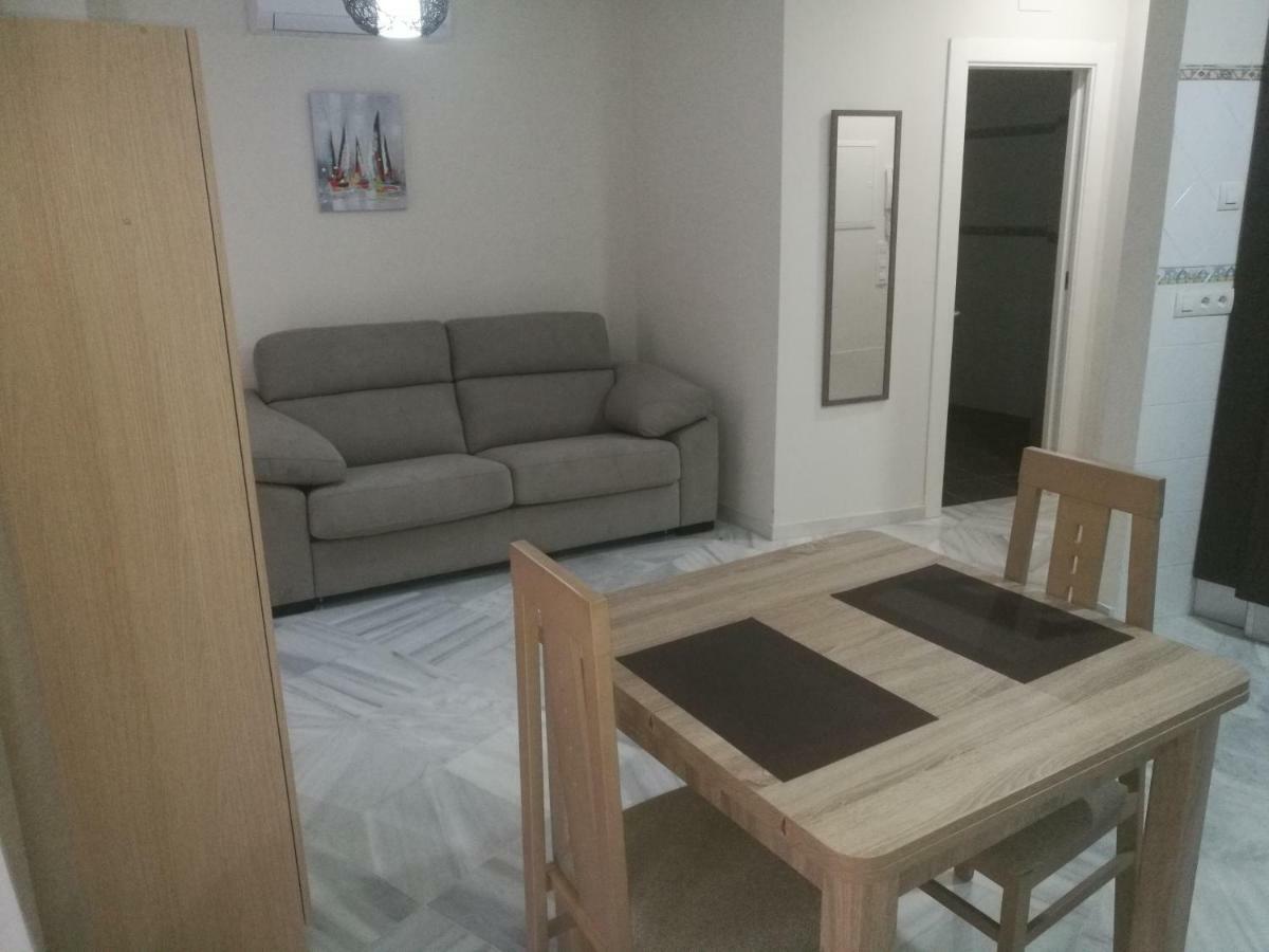 Apartment Edificio Vicente *